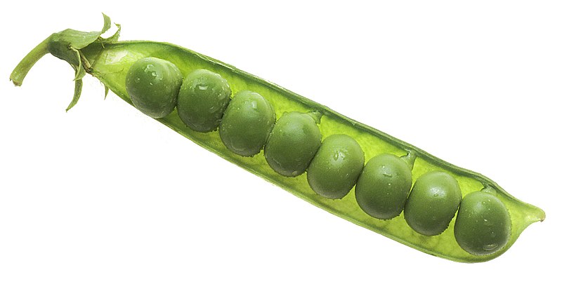 How Saving on Peas Made Me 12% ROI This Year and Could Secure Millions for My Retirement